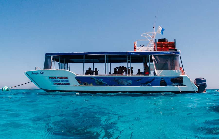 Coral Bay Glass-Bottom Boat Tour - A close look at the lagoon gardens