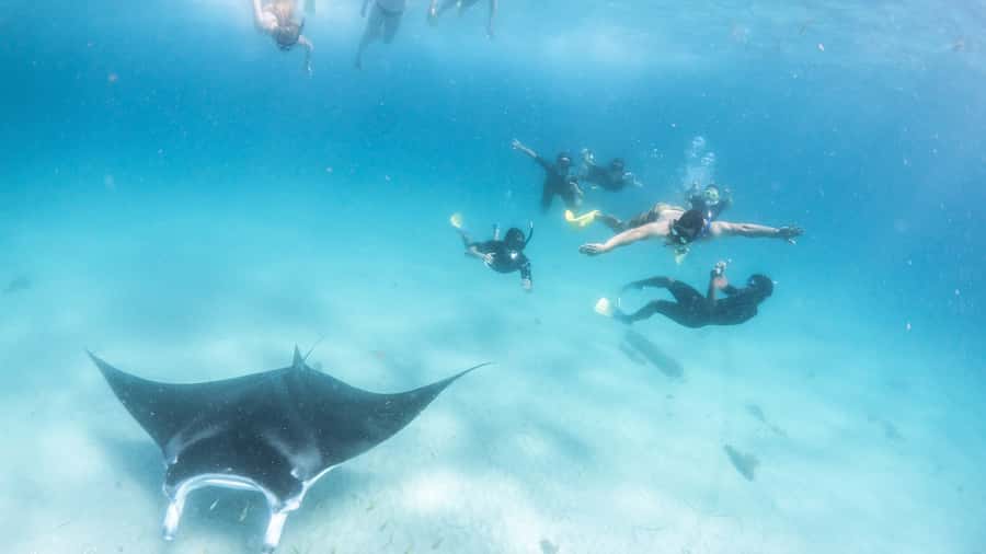 Coral Bay: Marine Eco Safari - Swim With Manta Rays - Starting at Coral Bay and boarding the Kurni-Ku