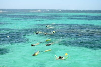 Coral Bay: Ningaloo Reef 3-Hour Turtle Ecotour