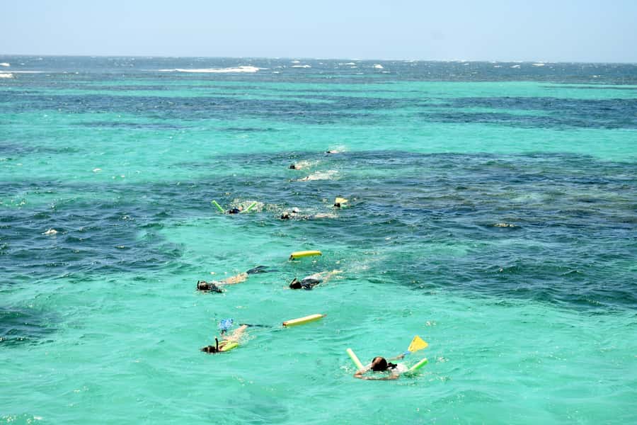 Coral Bay: Ningaloo Reef 3-Hour Turtle Ecotour - The three-hour route from Coral Bay beach