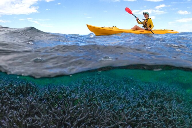 Coral By Kayak - Ningaloo Reef Half Day Kayak & Snorkel Tour - Key points at a glance