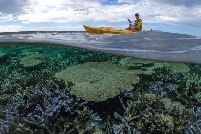 Coral By Kayak - Ningaloo Reef Half Day Kayak & Snorkel Tour - What the guide adds to the four-hour outing