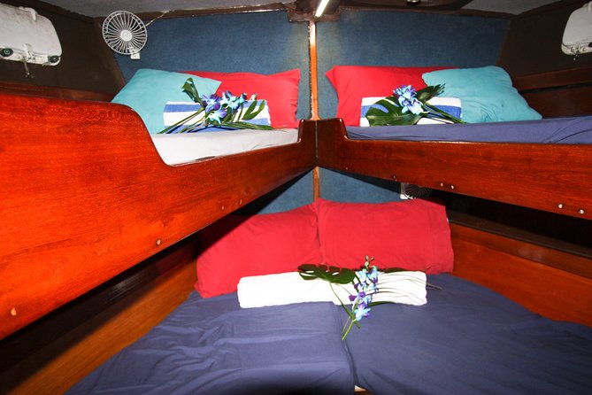 Coral Sea Dreaming Overnight Dive, Snorkel and Sail - What the $472.66 price really covers