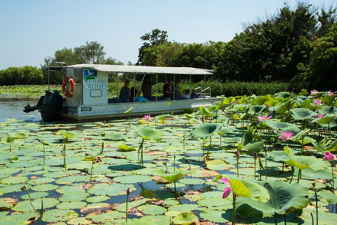 Corroboree Billabong 2.5 hour Lunch Cruise - Key points about the Corroboree lunch cruise