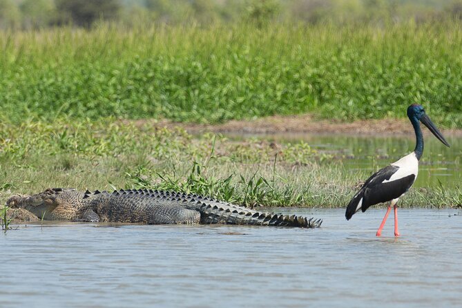 Corroboree Billabong 2.5 hour Lunch Cruise - Why the quiet channels matter