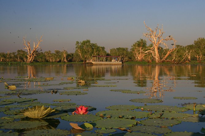 Corroboree Billabong Wetland Cruises - 2 hour Sunset Cruise - Key points to know before you go