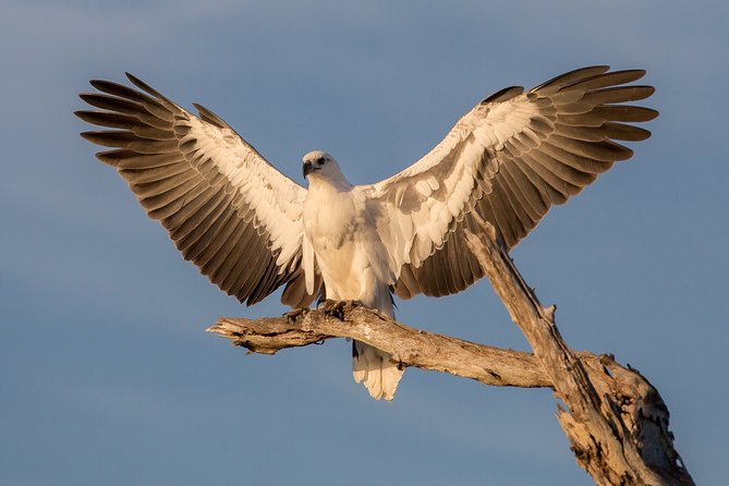 Corroboree Billabong Wetland Cruises - 2 hour Sunset Cruise - Driving from Darwin to Corroboree Billabong
