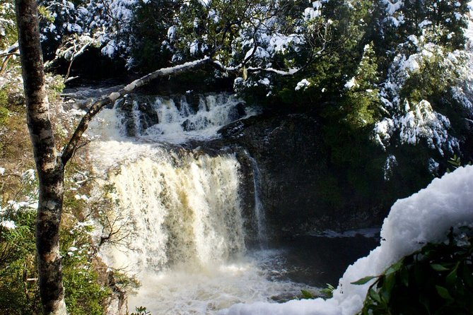 Cradle Mountain Day Tour from Launceston Including Lunch - Why this day trip works from Launceston
