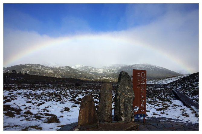 Cradle Mountain Day Tour from Launceston Including Lunch - Group size, pace, and walking demands