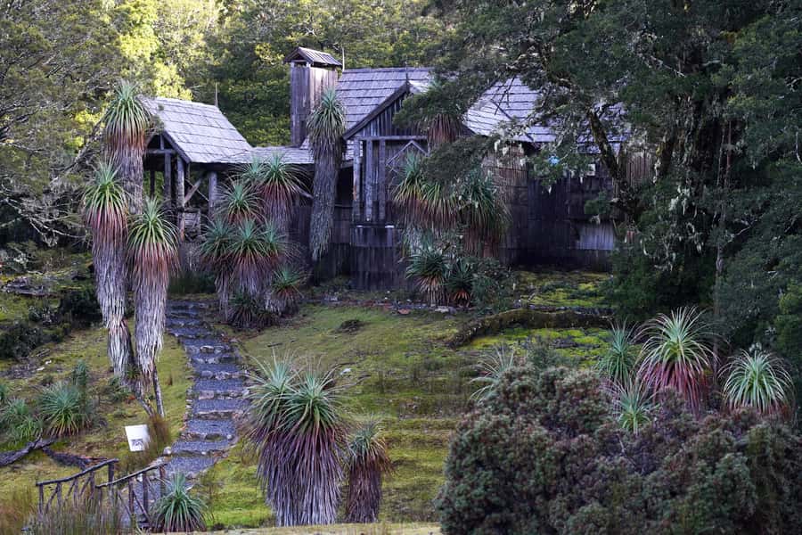 Cradle Mountain: Day Trip from Launceston with Lunch - Key points at a glance