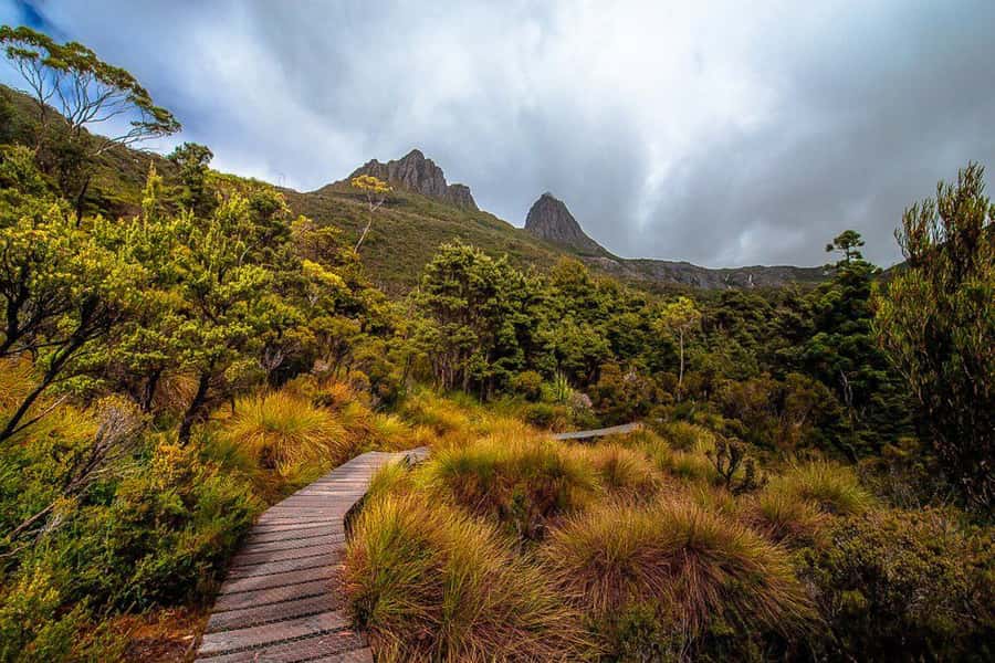 Cradle Mountain: Day Trip from Launceston with Lunch - Why this Cradle Mountain day trip works