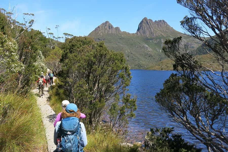 Cradle Mountain: Day Trip from Launceston with Lunch - Leaving Launceston at 7:30am