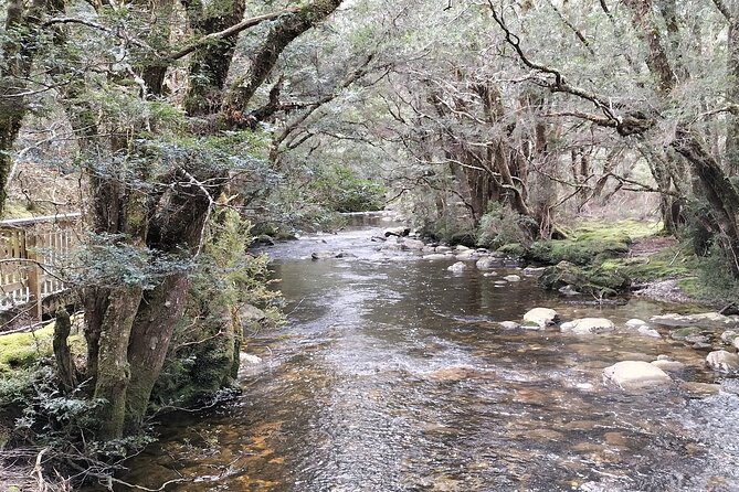 Cradle Mountain Sightseeing Tour from Devonport or Burnie - Starting from Devonport, Ulverstone, or Burnie