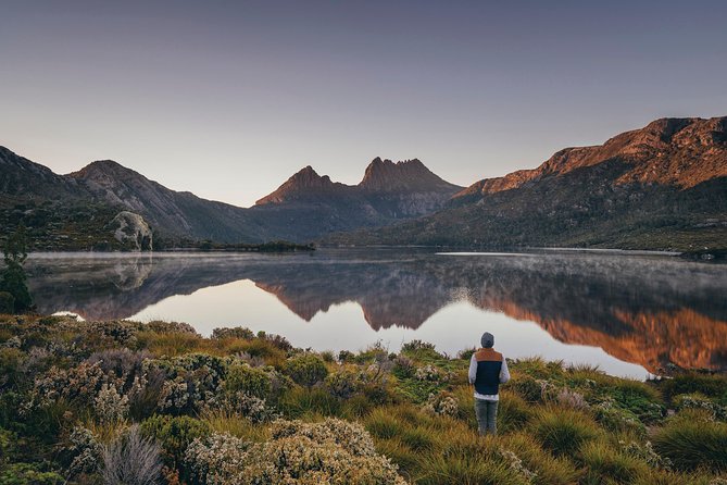 Cradle Mountain Sightseeing Tour from Devonport or Burnie - Walking with a local guide