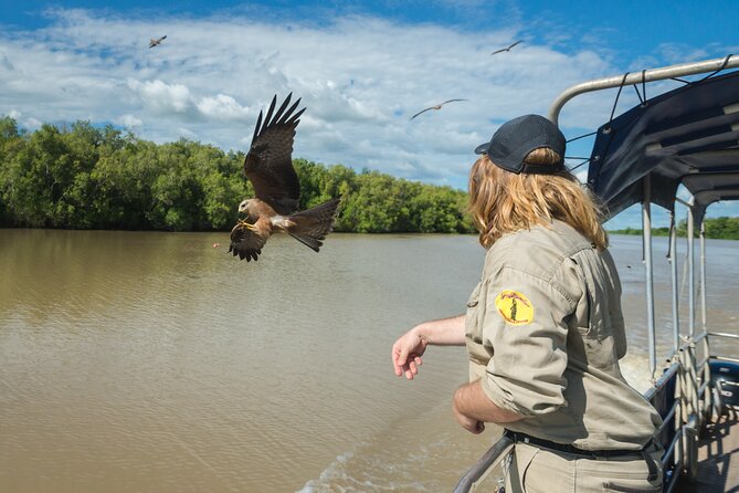 Crocodile Jumping Boat Cruise with Transfer from Darwin - Feeding, ethics, and the wild setting