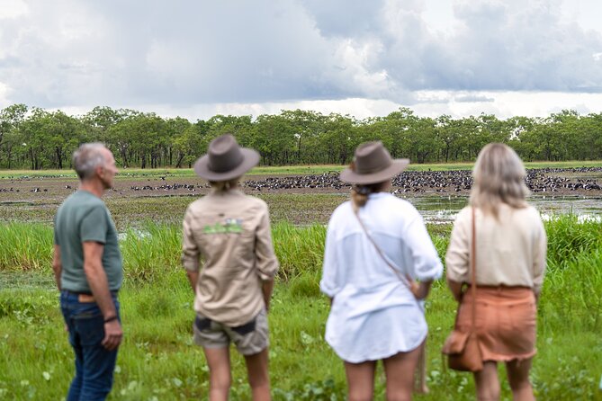 Crocodile Jumping Boat Cruise with Transfer from Darwin - What the $85.35 price delivers