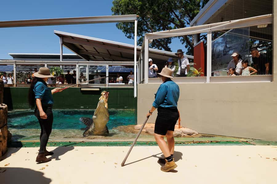 Crocosaurus Cove General Admission Ticket - Meeting Australia’s biggest crocodiles in central Darwin