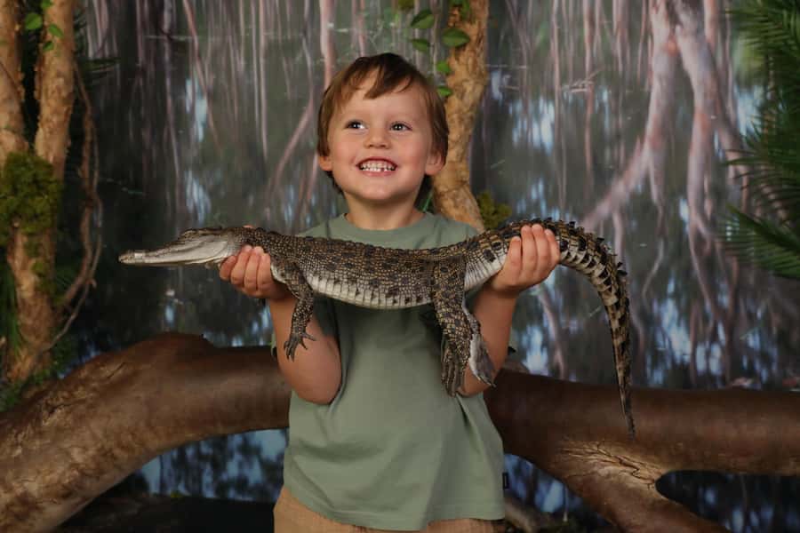 Crocosaurus Cove General Admission Ticket - Swimming and feeding options for the bold