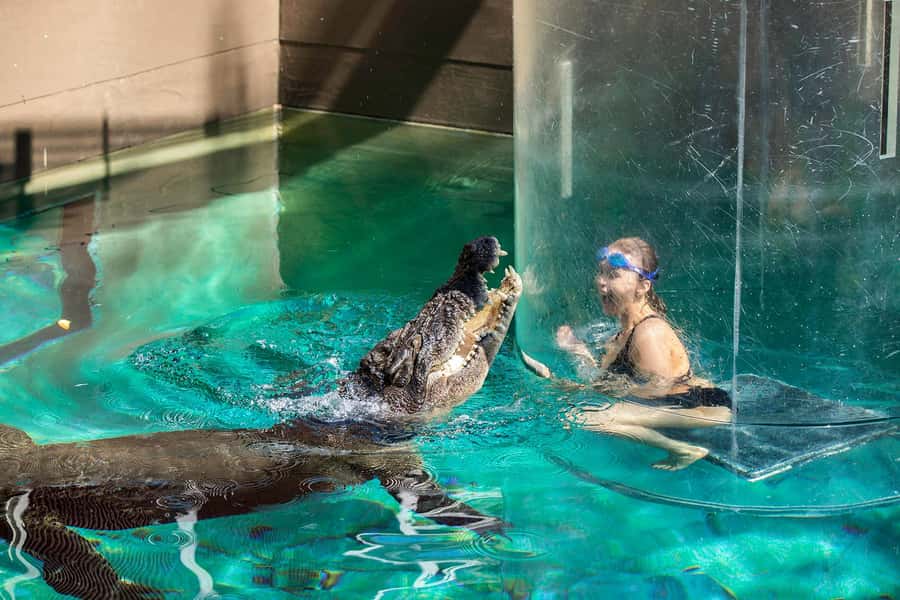 Crocosaurus Cove General Admission Ticket - Is $28 good value?