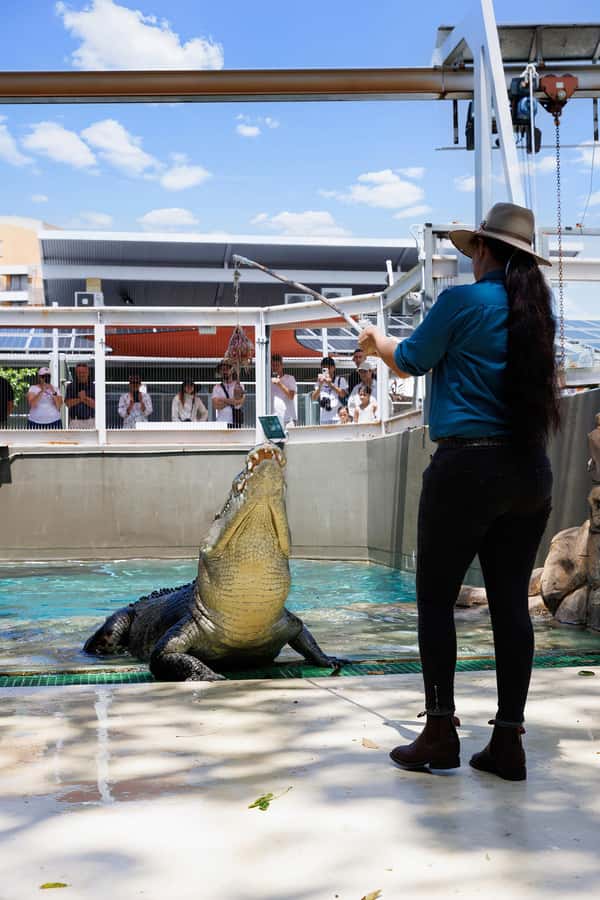 Crocosaurus Cove General Admission Ticket - How to use the daily schedule