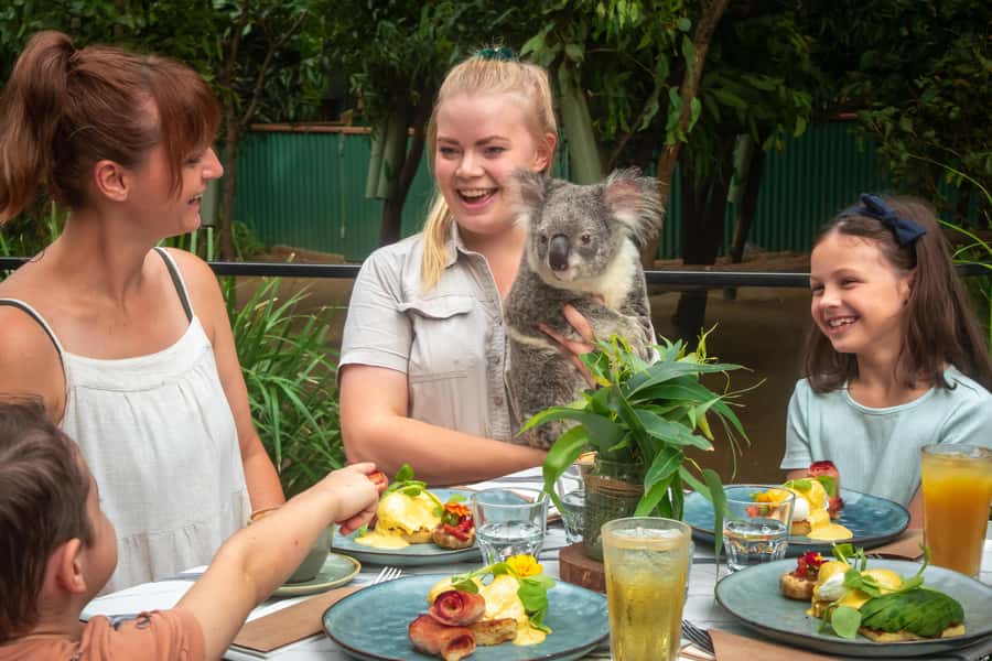 Currumbin Wildlife Sanctuary Entry Ticket - Key points to know before you go