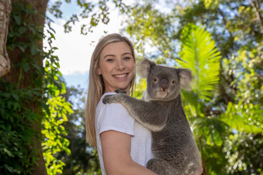 Currumbin Wildlife Sanctuary Entry Ticket - A full Australian wildlife day near the Gold Coast