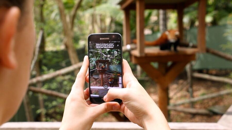 Currumbin Wildlife Sanctuary Entry Ticket - Koalas are memorable, but optional extras need careful thought
