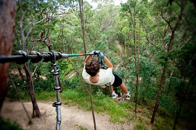 Currumbin Wildlife Sanctuary General Entry Ticket - Who Will Enjoy Currumbin Most?
