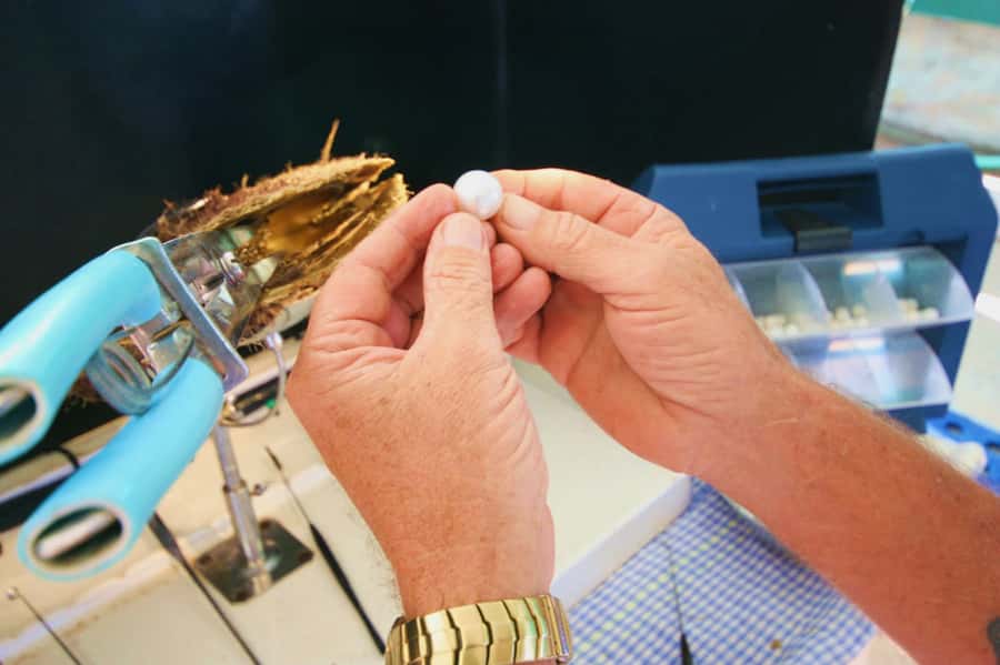 Cygnet Bay Pearl Farm Behind-the-Scenes Tour & Live Harvest - Key points to know before you go