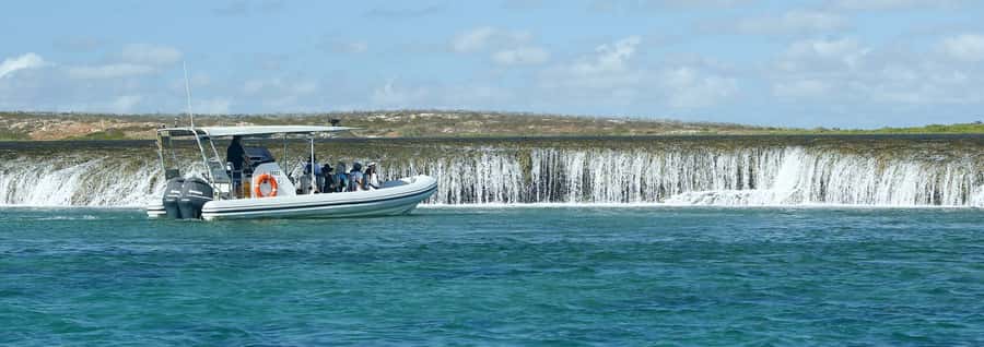 Cygnet Bay Unique Tidal Waterfall Reefs Scenic Cruise - Key points to know before you book
