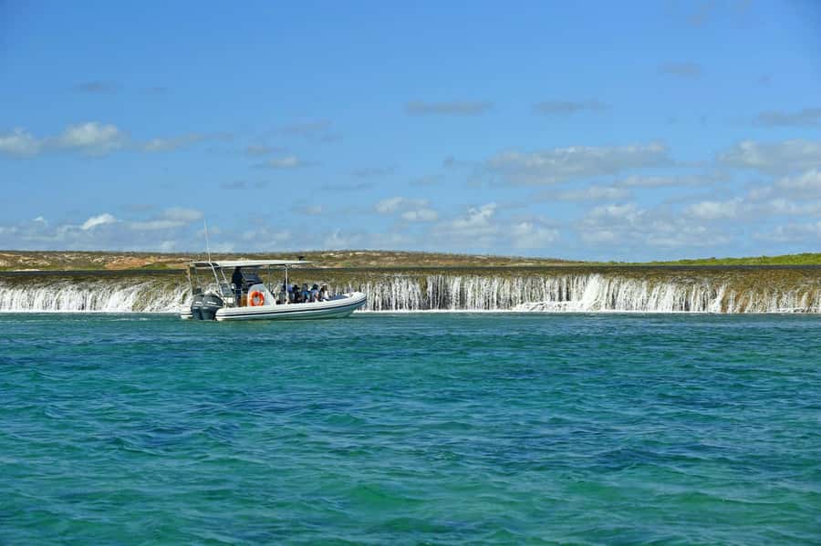 Cygnet Bay Unique Tidal Waterfall Reefs Scenic Cruise - What the boats are like