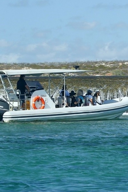 Cygnet Bay Unique Tidal Waterfall Reefs Scenic Cruise - Who will enjoy this sea safari most