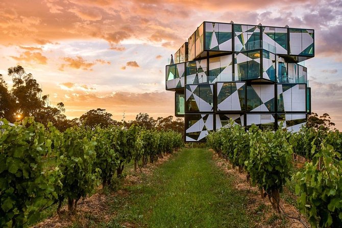 d'Arenberg Cube / McLaren Vale Regional Tour - Key points to know before booking