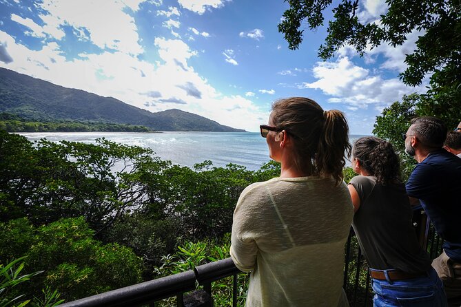 Daintree, Cape Tribulation & River Cruise from Port Douglas - Key things to know before you book