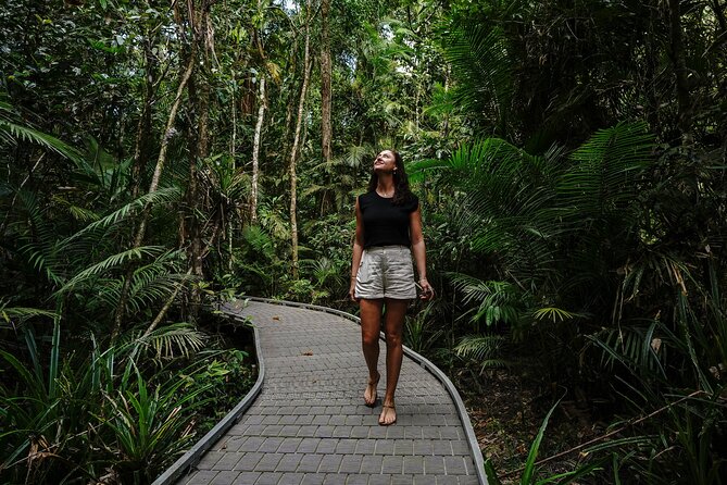 Daintree, Cape Tribulation & River Cruise from Port Douglas - Lunch at Heritage Lodge and a swim at Cooper Creek