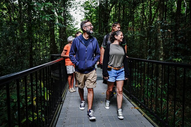 Daintree, Cape Tribulation & River Cruise from Port Douglas - Cape Tribulation and the meeting of rainforest and reef