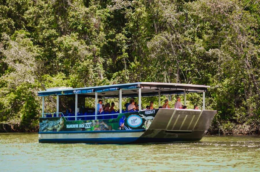 Daintree: Guided Daintree River Wildlife Cruise - What the itinerary feels like in practice