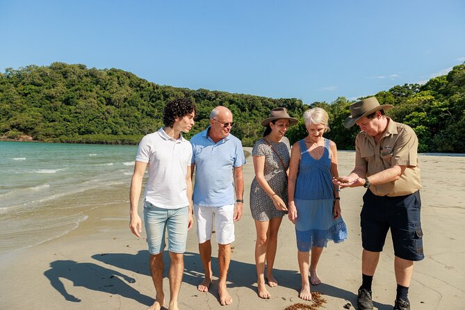 Daintree Rainforest and Cape Tribulation Day Tour from Cairns - A rainforest lunch with limited time to linger