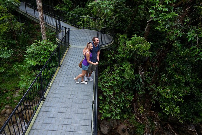 Daintree Rainforest and Cape Tribulation Day Tour from Cairns - Cape Tribulation, where forest meets reef