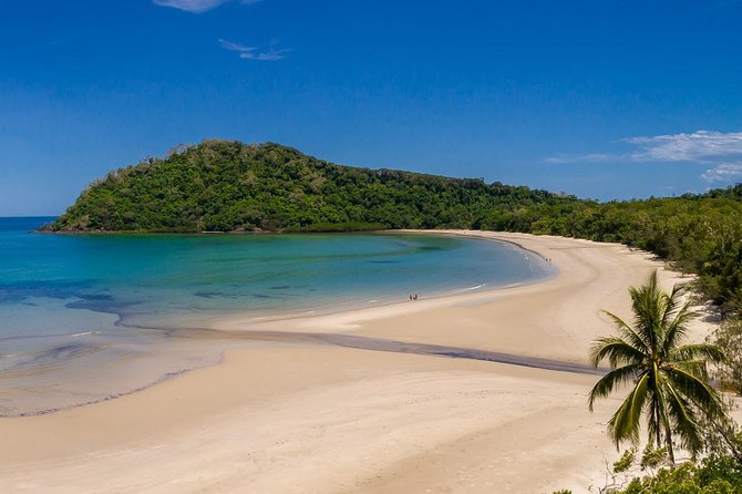 Daintree Rainforest and Cape Tribulation Day Tour from Cairns - Four local flavours at Daintree Ice Cream Company