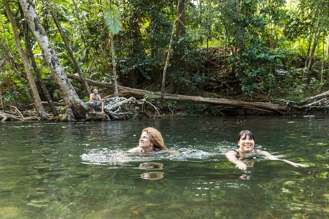 Daintree Rainforest and Cape Tribulation Full Day Tour - The Daintree River cruise and crocodile search