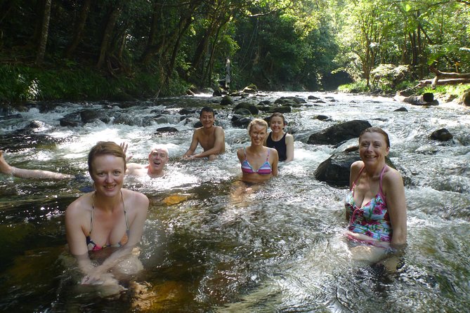 Daintree Rainforest, Mossman Gorge Small-Group from Port Douglas - Mossman Gorge sets the tone