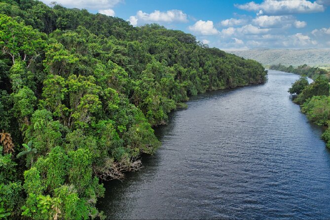 Daintree River Cruise - What you might see from the boat