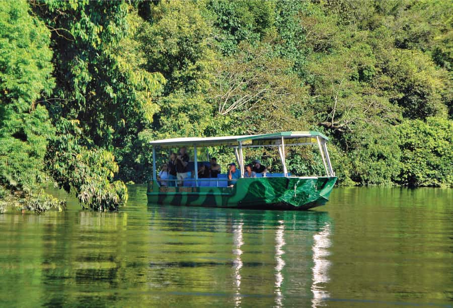Daintree: River Rainforest Crocodile & Wildlife Cruise (DV) - Key points to know before you go