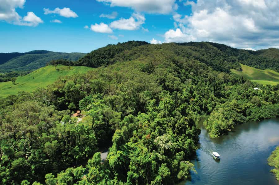 Daintree: River Rainforest Crocodile & Wildlife Cruise (DV) - A one-hour search for crocodiles on the Daintree River