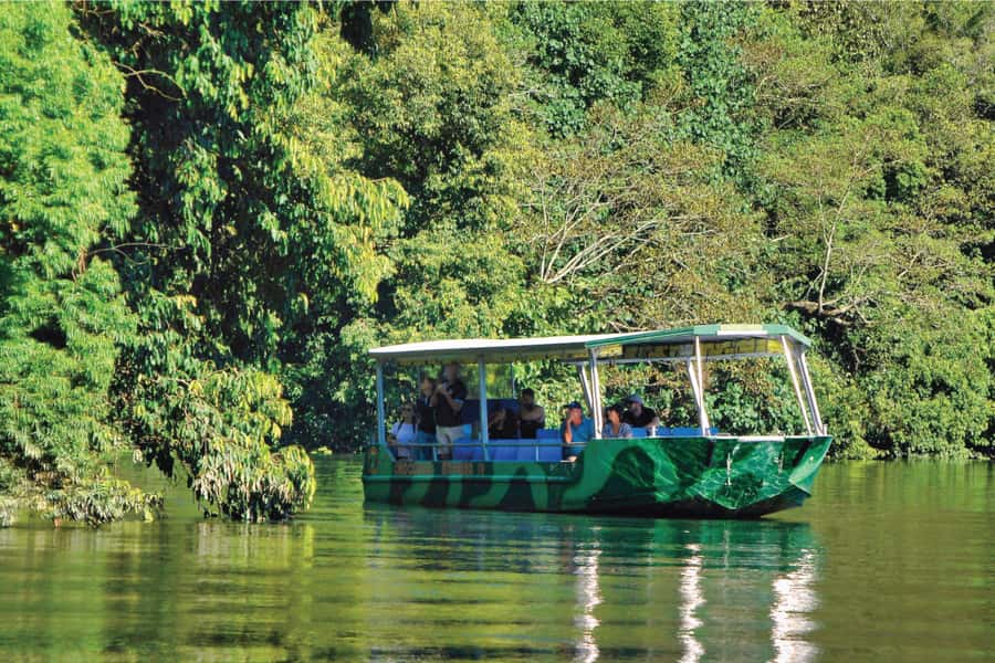 Daintree River Rainforest: Crocodile & Wildlife Cruises (DG) - Why this river cruise is worth your time