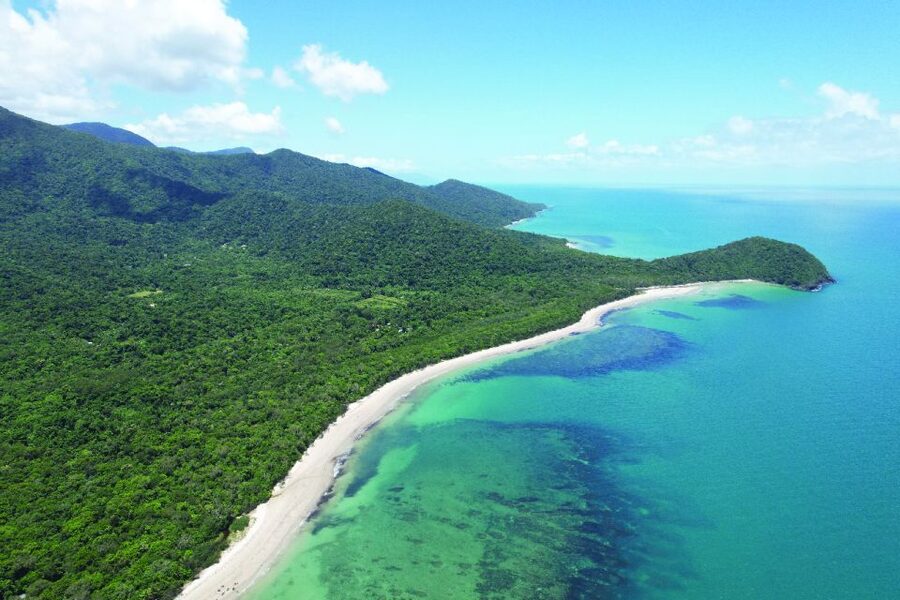 Daintree River Rainforest: Crocodile & Wildlife Cruises (DG) - Practical details that matter