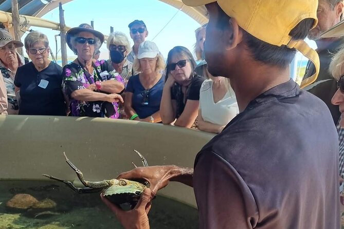 Dampier Peninsula & Aboriginal Communities from Broome (Optional Scenic Flight) - One Arm Point and the trochus hatchery