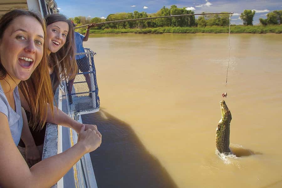 Darwin: Adelaide River Half-Day Jumping Crocs Cruise - Key points to know before booking