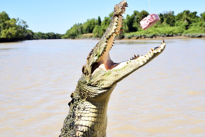 Darwin: Adelaide River Queen Original Jumping Crocodile Cruise - Choosing between the lower and upper decks